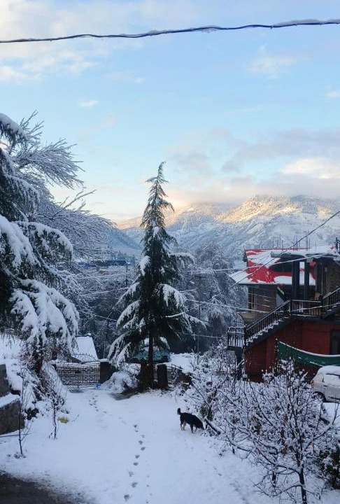 Photo of Others in Naggar
