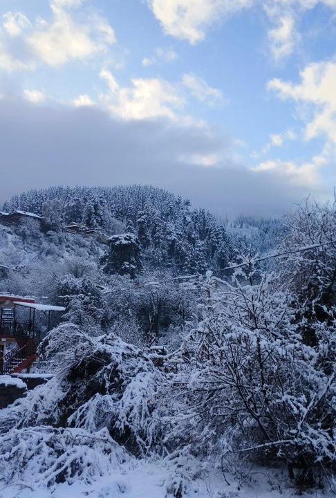 Photo of Others in Naggar