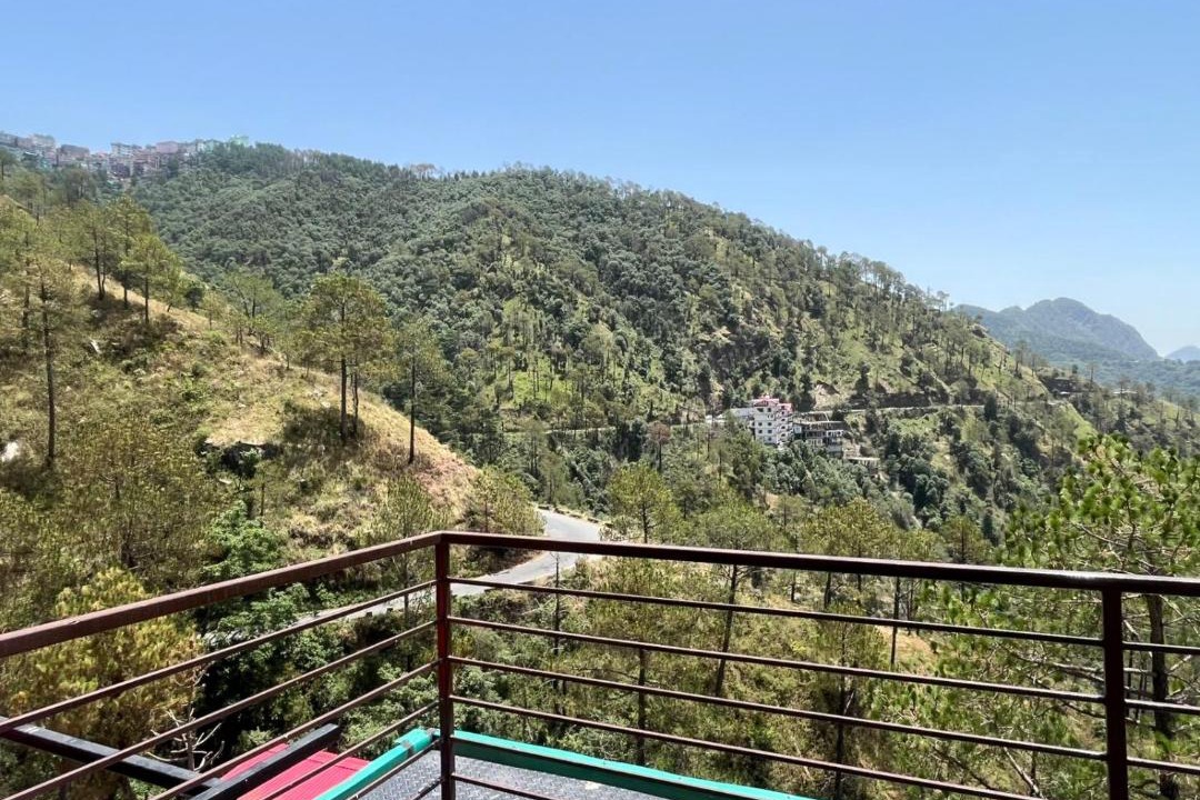 Photo of Others in Shimla