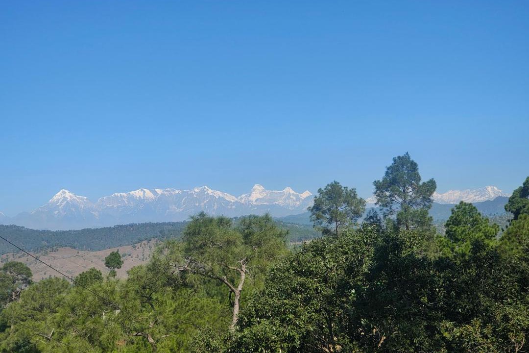 Photo of Others in Almora