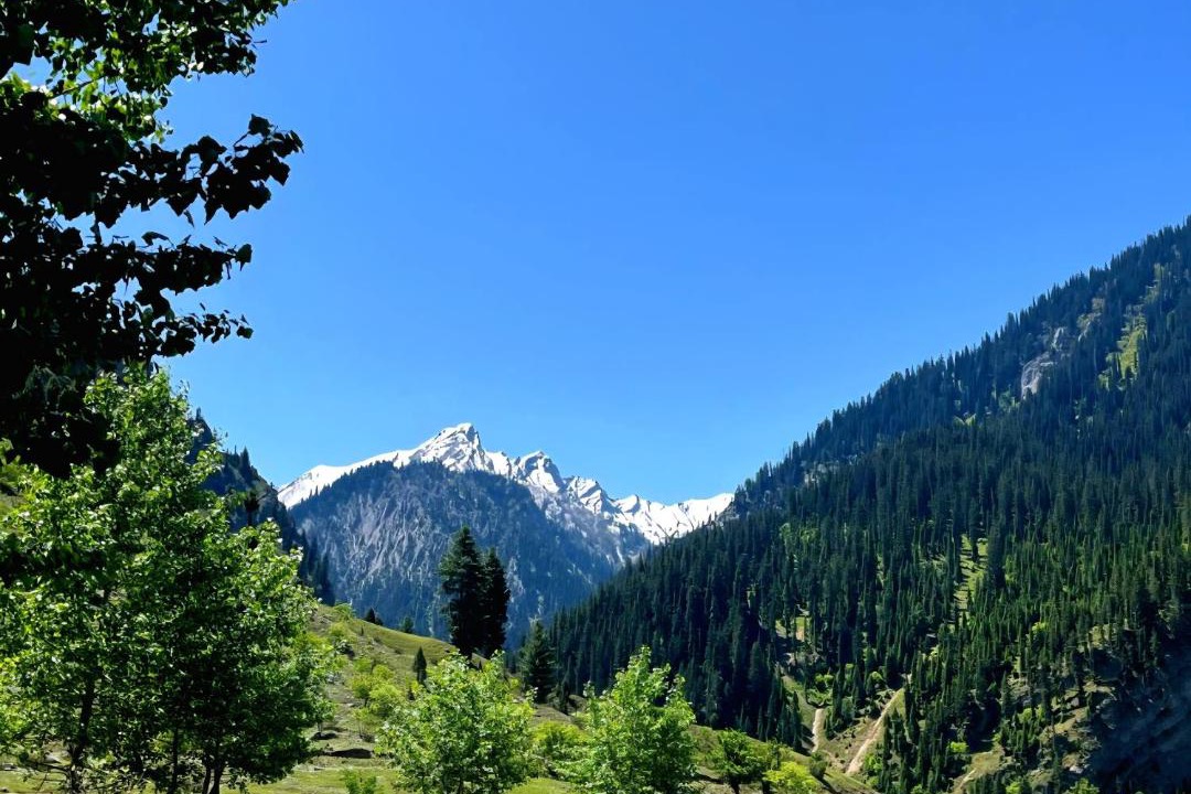Photo of Others in Gulmarg