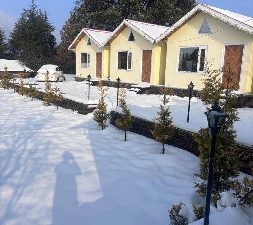 Photo of Others in Shimla