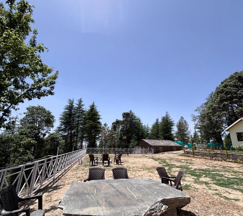 Photo of Others in Shimla