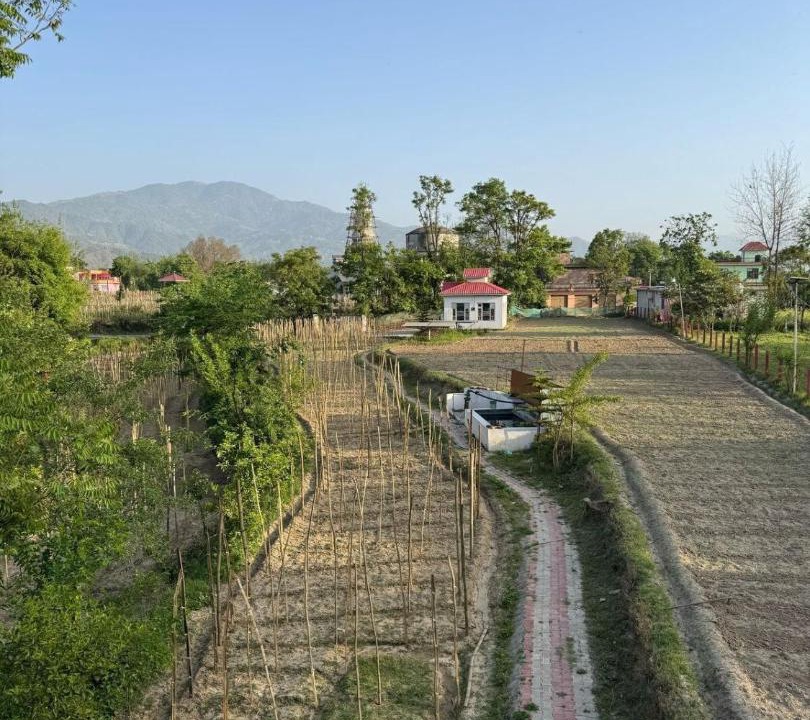 Photo of Others in Mandi