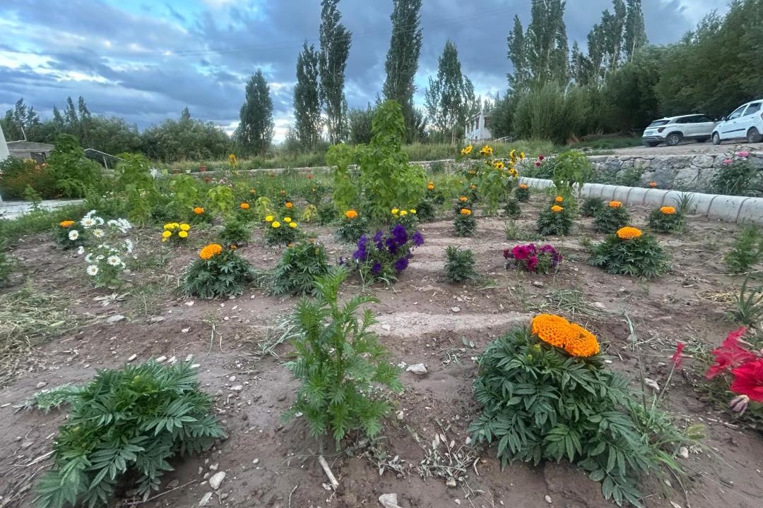 Photo of Outdoor in She
