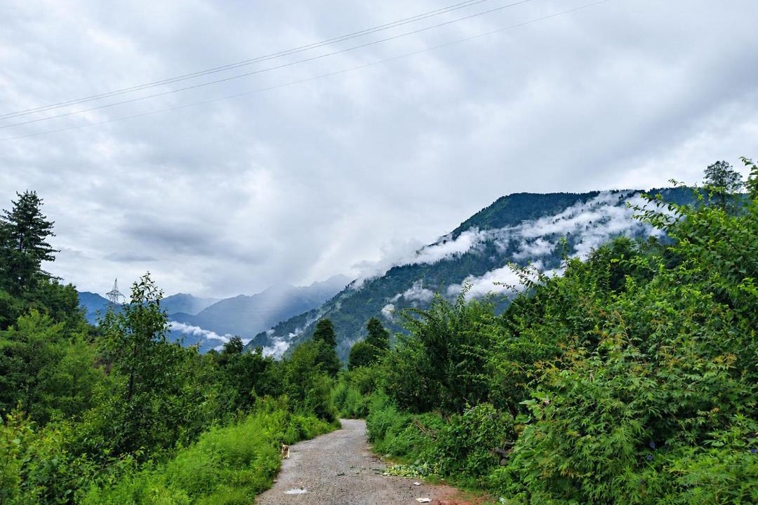 Photo of Others in Naggar