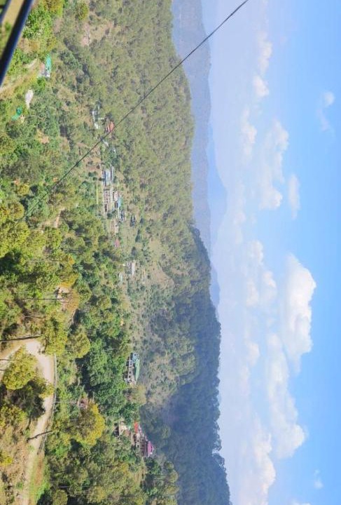 Photo of Others in Kasauli