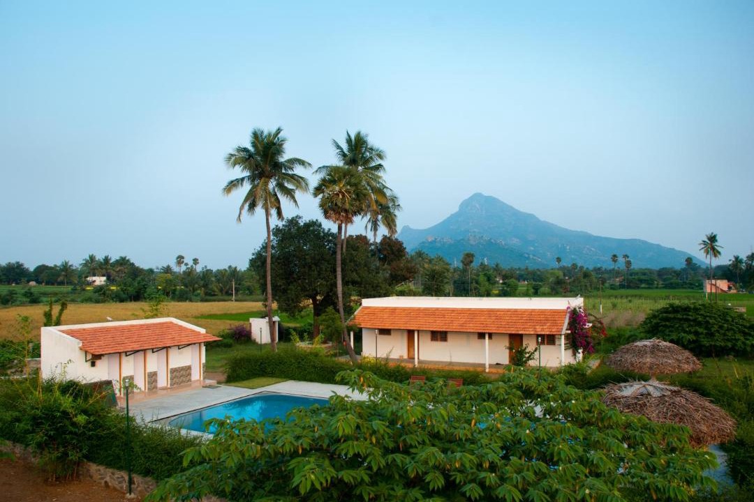 Photo of Others in Tiruvannamalai