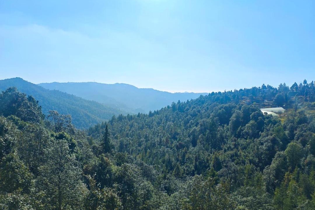 Photo of Others in Mukteshwar