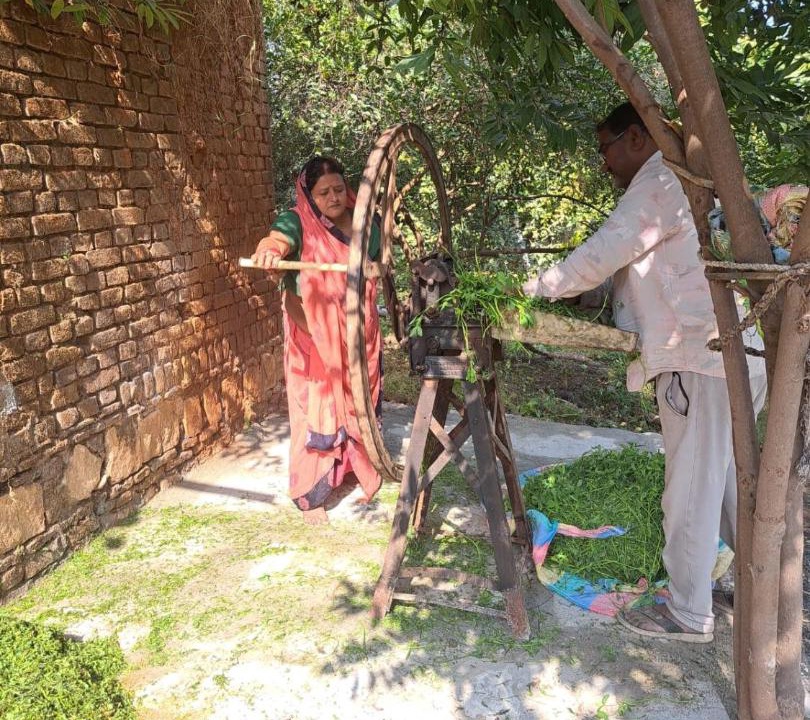Photo of Others in Jhansi
