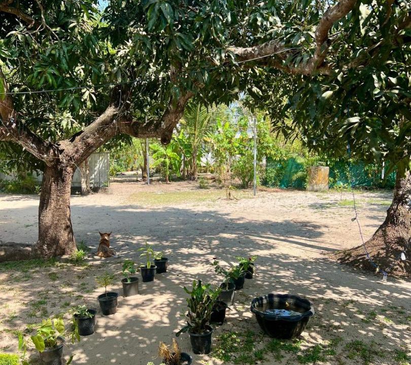Photo of Others in Mararikulam