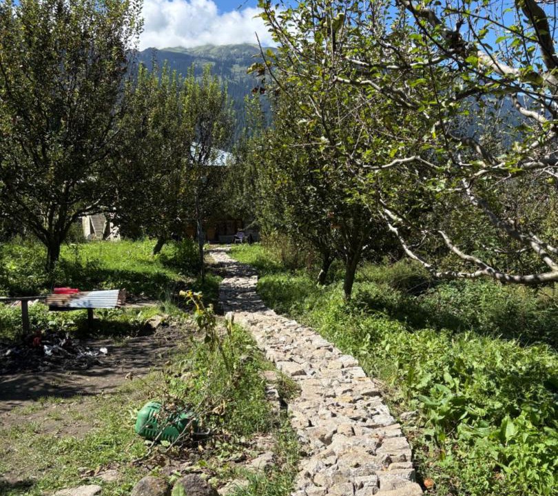 Photo of Outdoor in Kullu