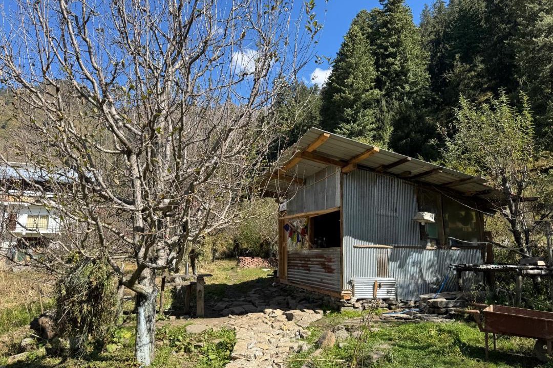Photo of Others in Kullu