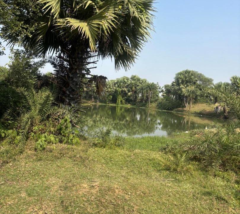 Photo of Others in Bolpur