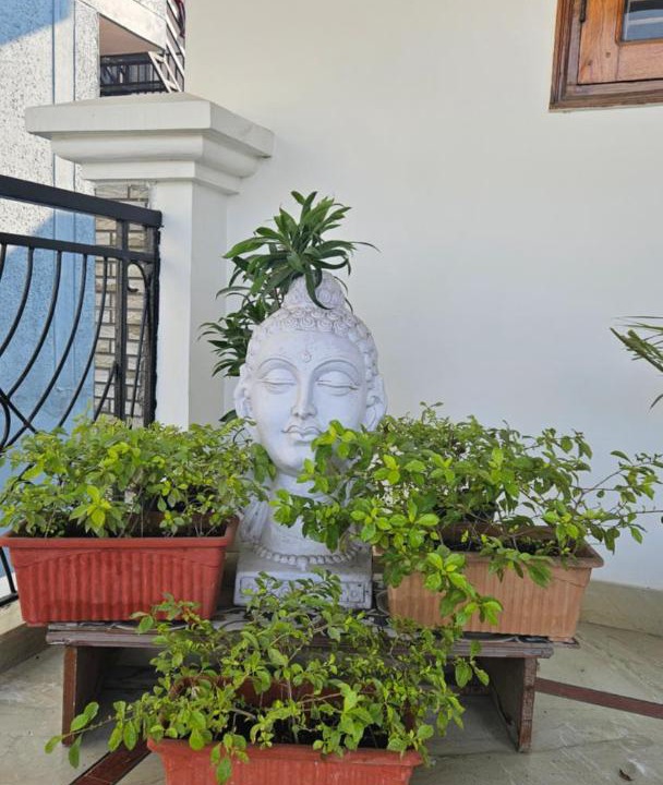 Photo of Others in Dehradun