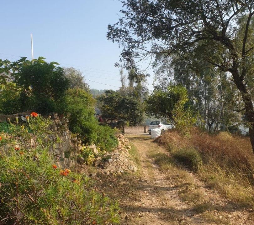 Photo of Others in Ghumarwin