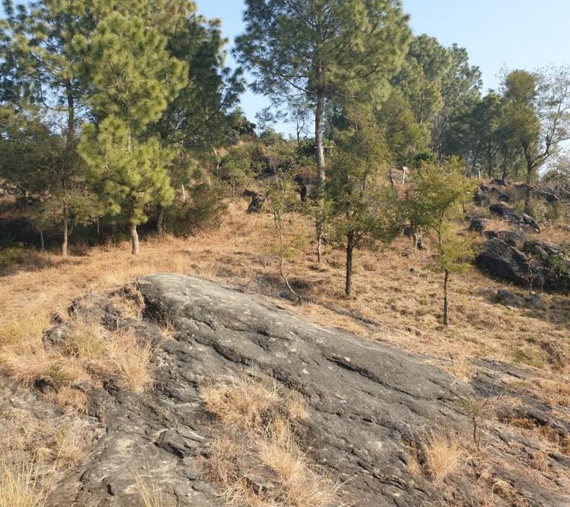 Photo of Others in Ghumarwin