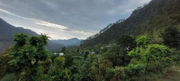 Photo of Others in Kaul