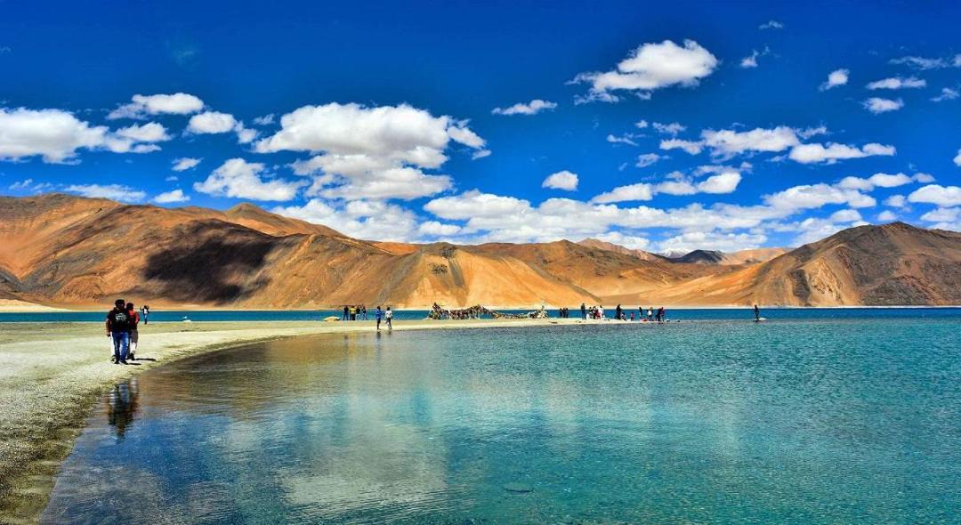 Photo of Others in Leh