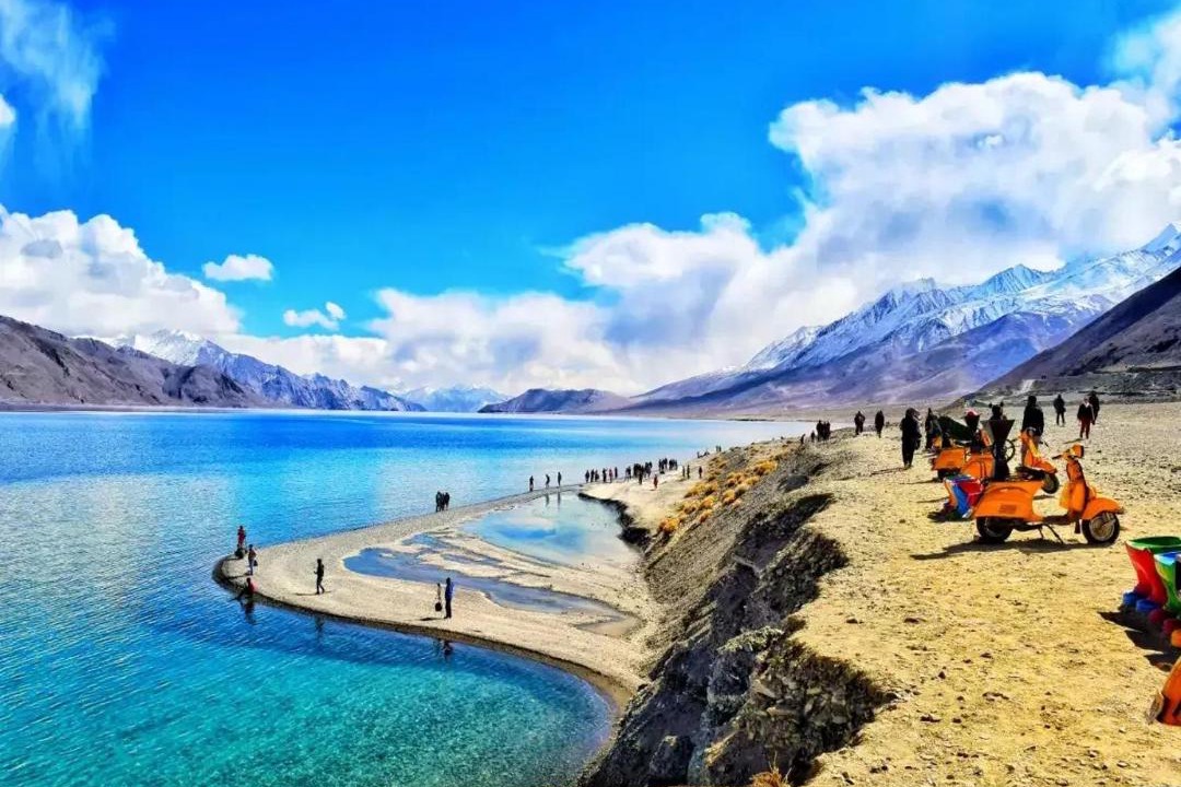 Photo of Others in Leh