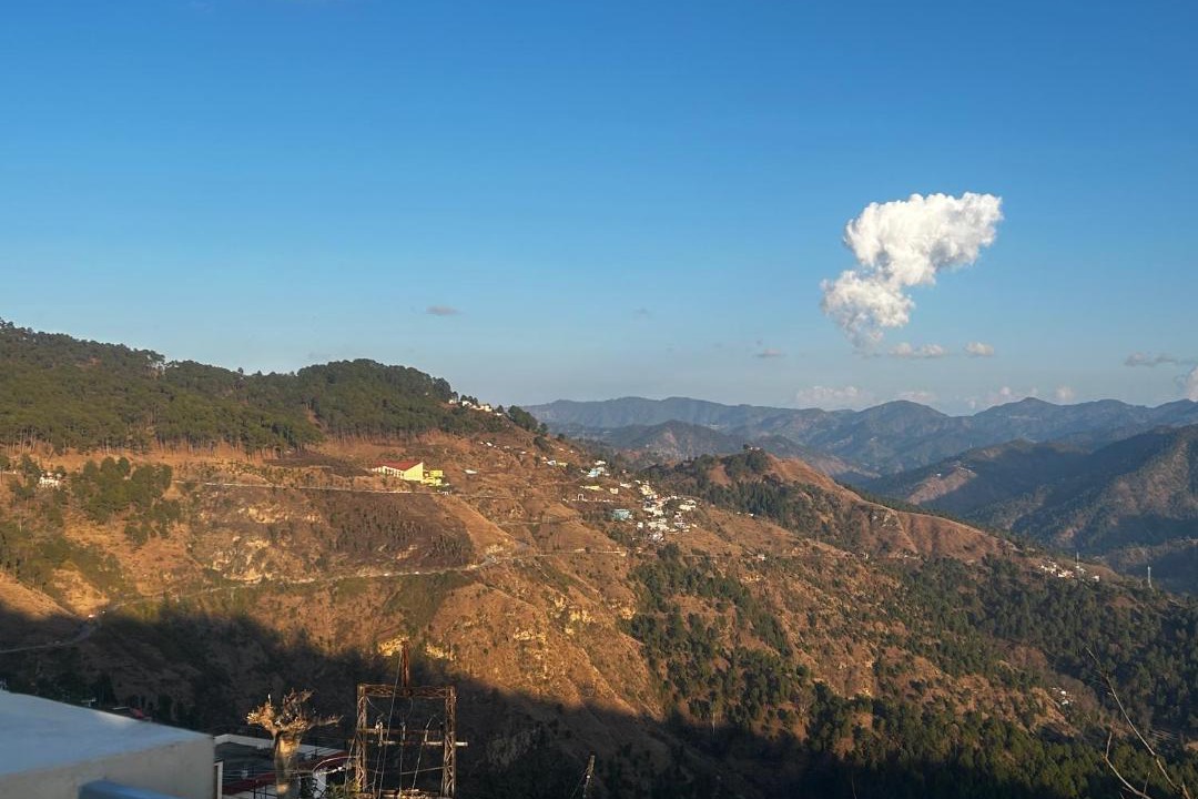 Photo of Others in Almora