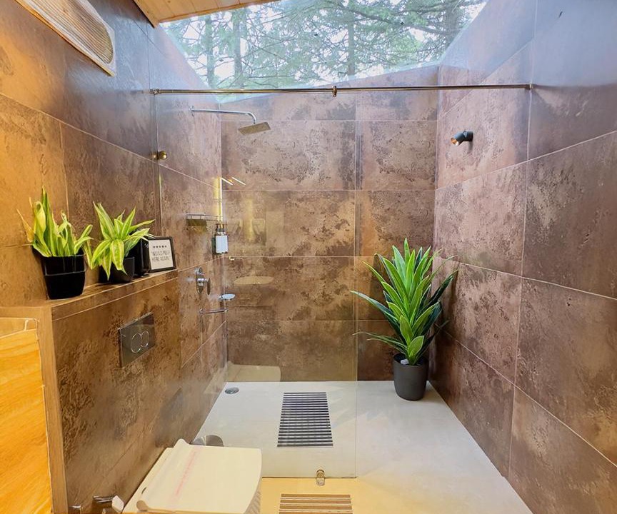 Photo of Bathroom in Manali