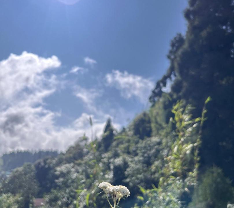 Photo of Outdoor in Kurseong