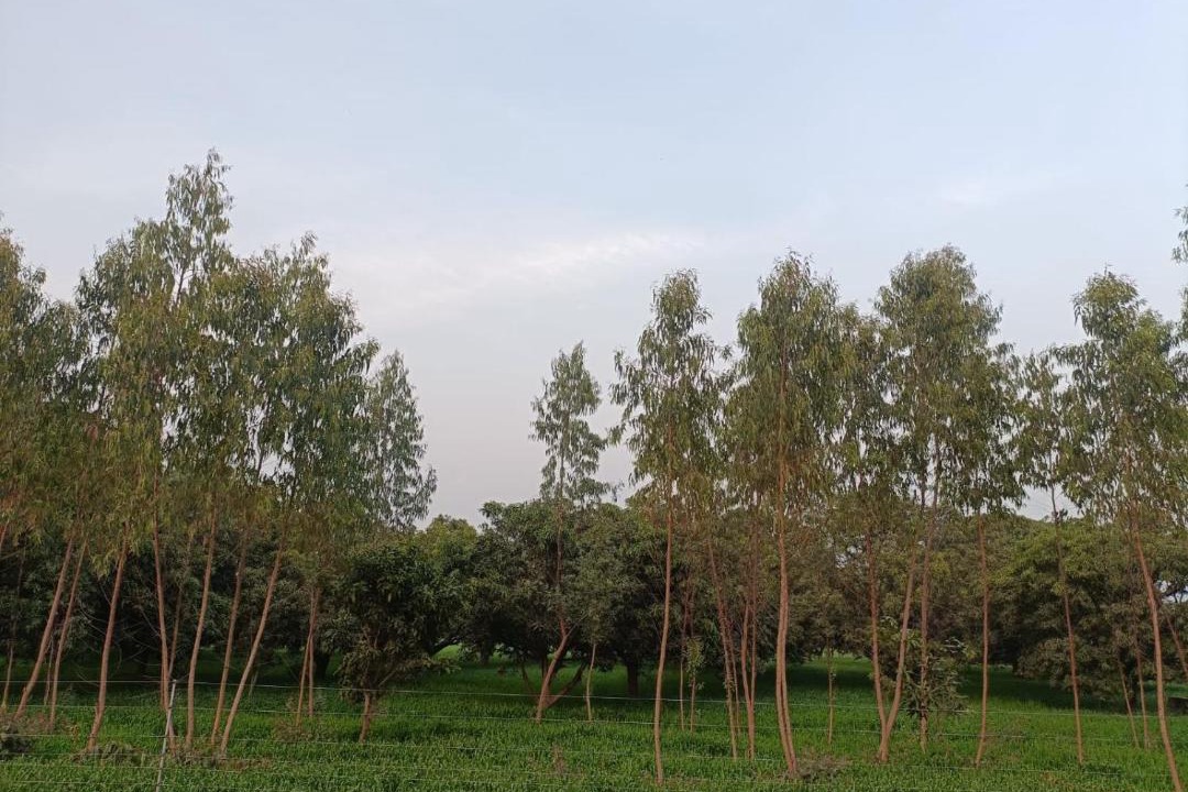 Photo of Outdoor in Haldwani
