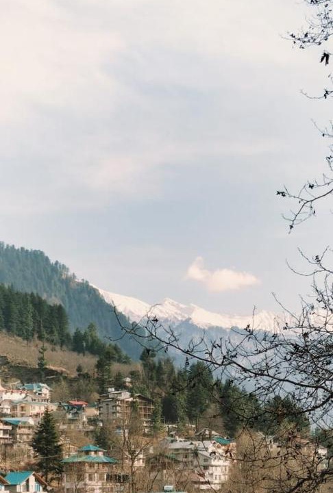 Photo of Others in Manali