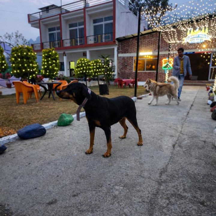 Photo of Others in Bullawala