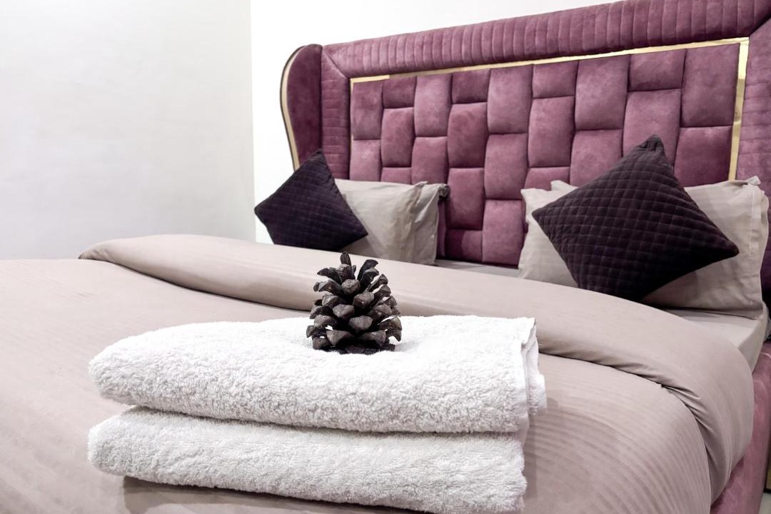 Photo of Bedroom in Solan