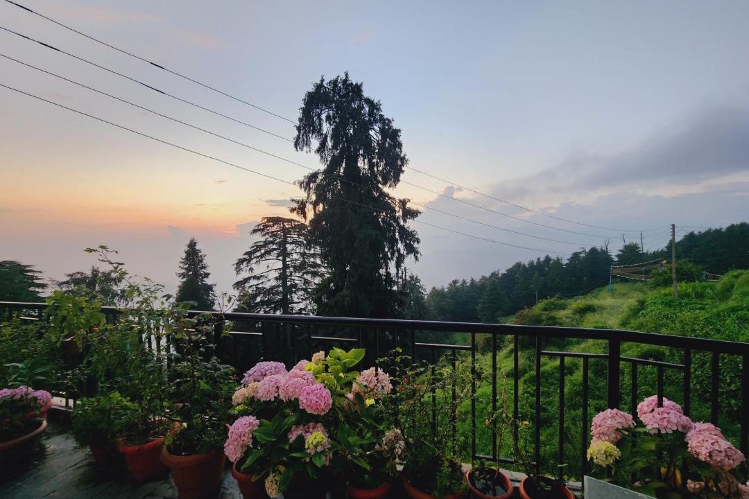 Photo of Others in Dalhousie