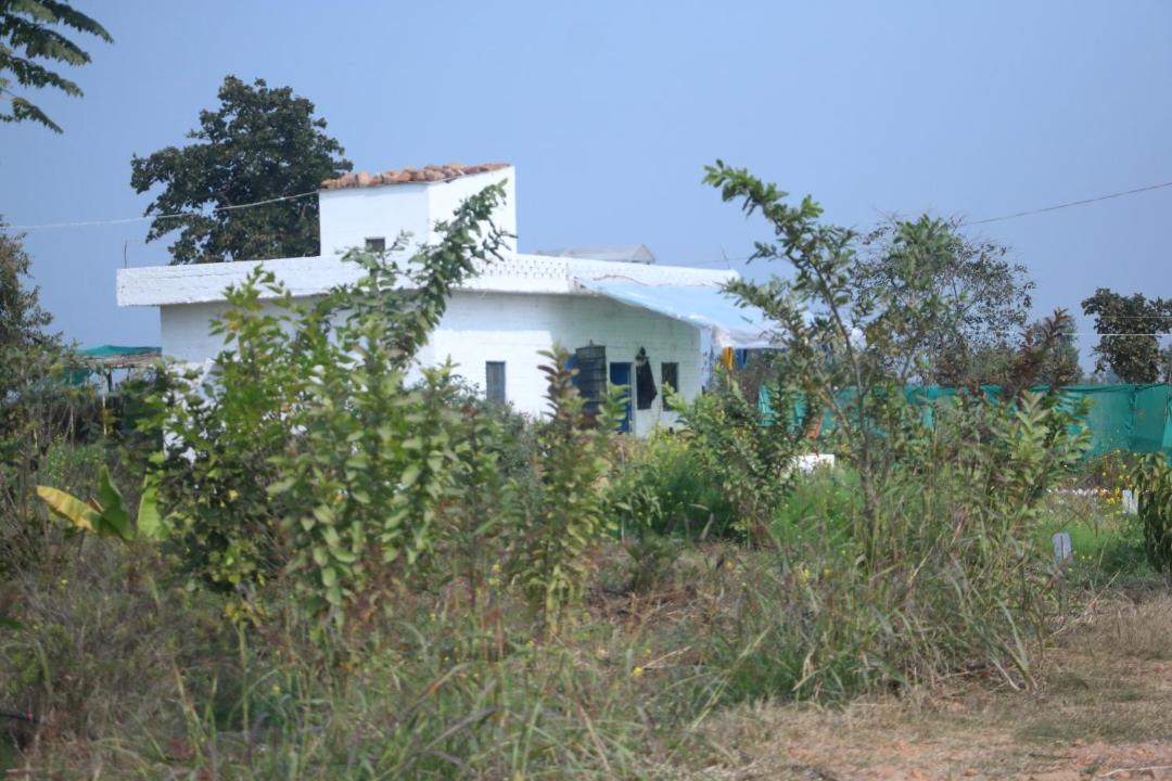 Photo of Others in Chhatarpur