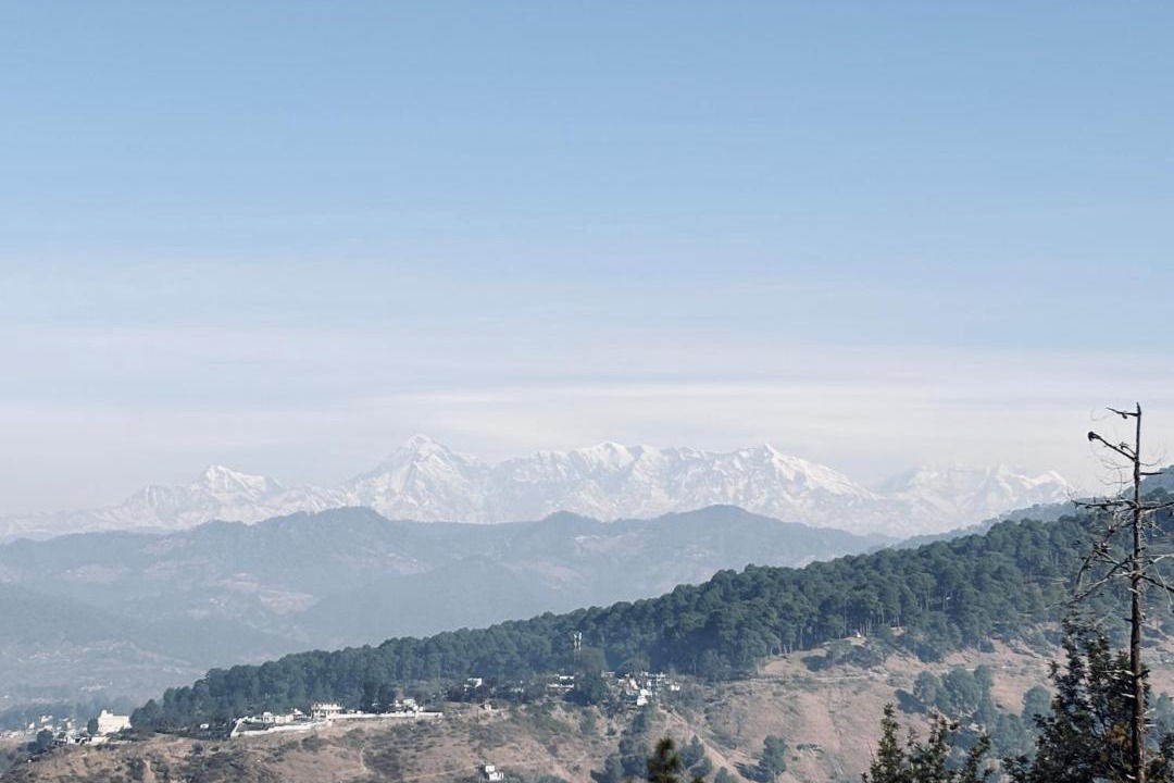 Photo of Others in Almora