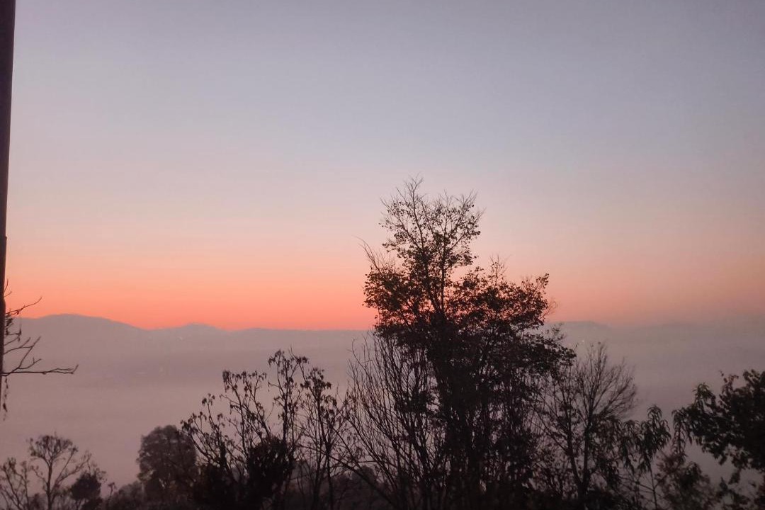 Photo of Others in Almora