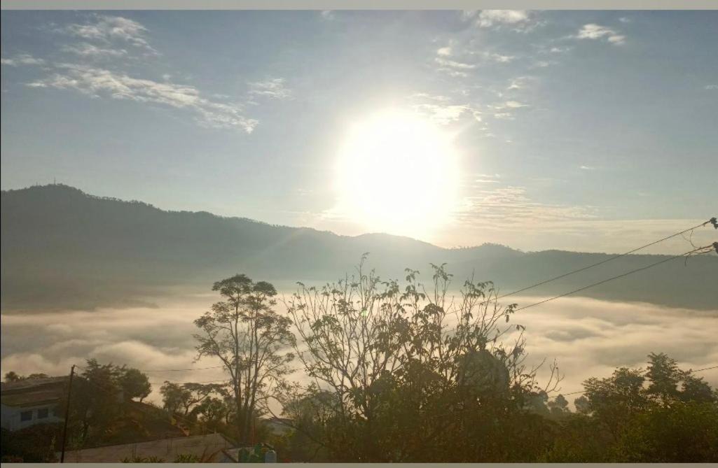 Photo of Others in Almora