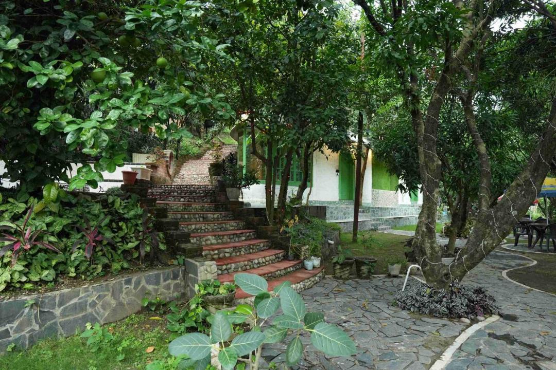 Photo of Others in Dehradun