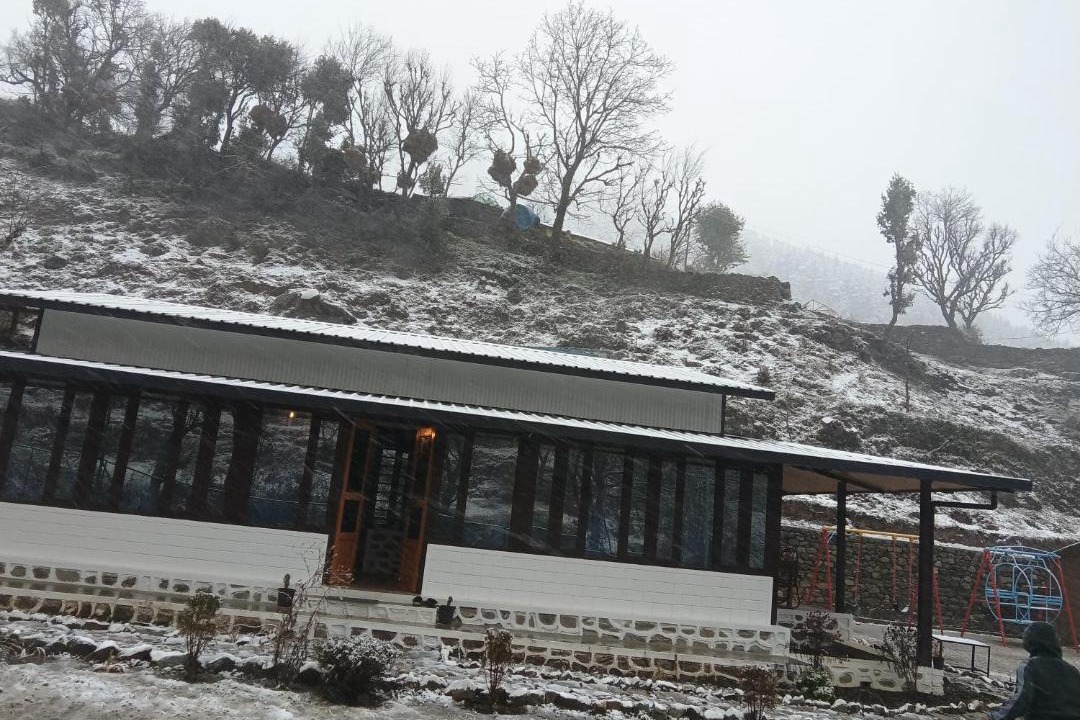 Photo of Others in Tehri