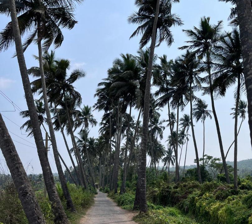 Photo of Others in Assagao