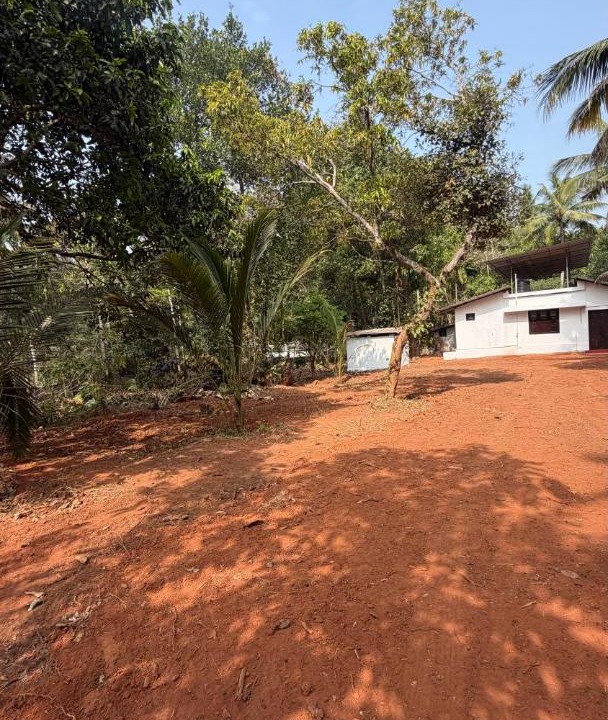 Photo of Others in Chirayinkil