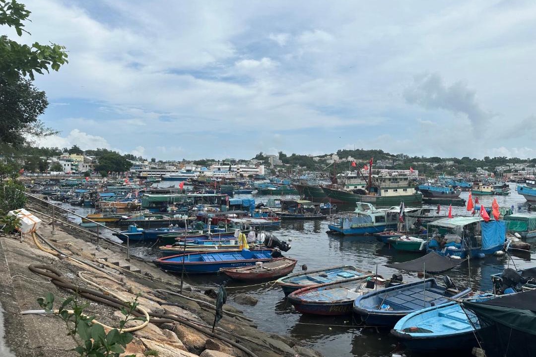 Photo of Others in Rumtek