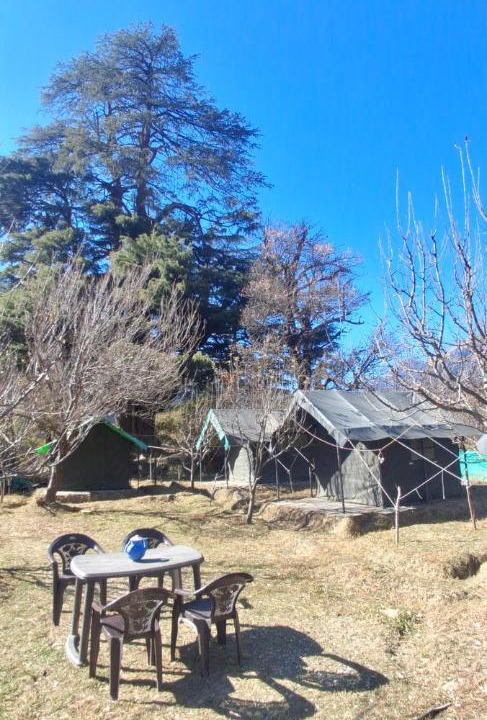 Photo of Others in Kullu