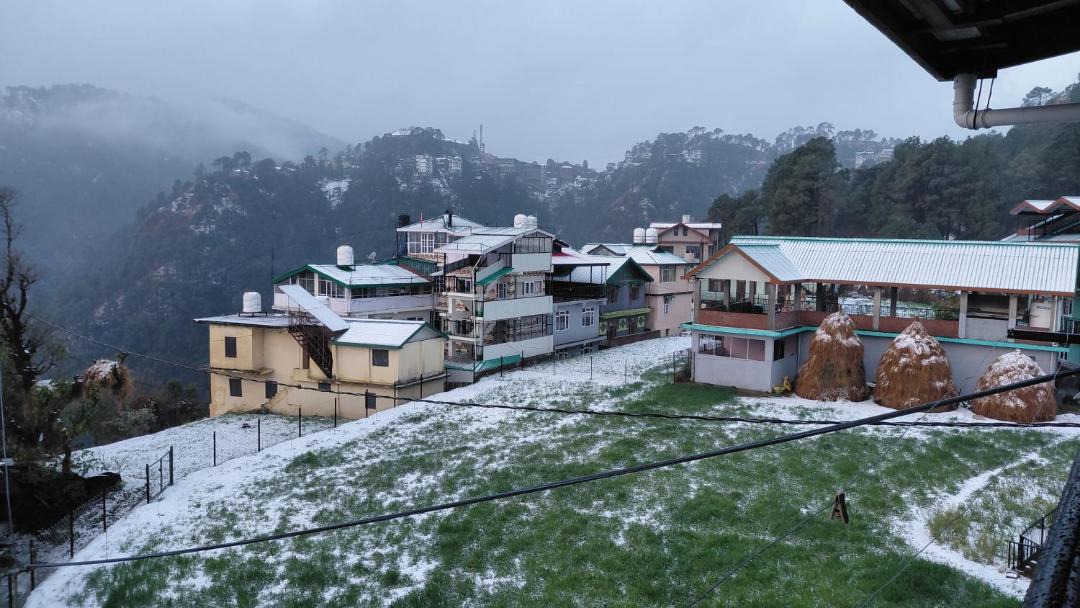 Photo of Others in Shimla