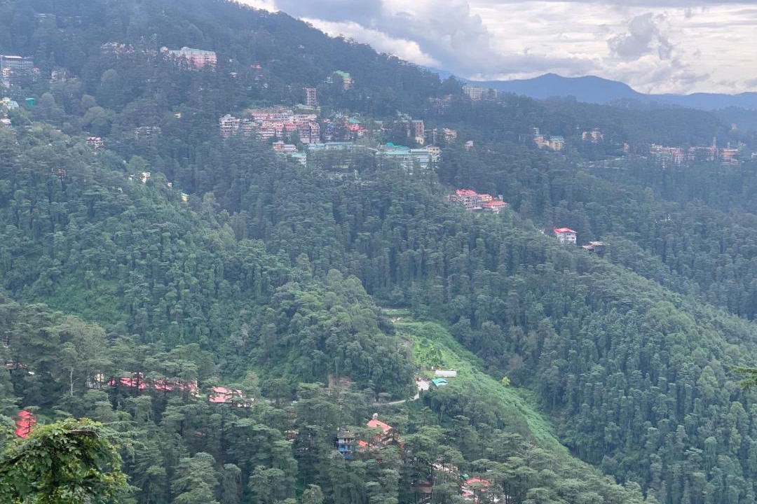 Photo of Others in Shimla