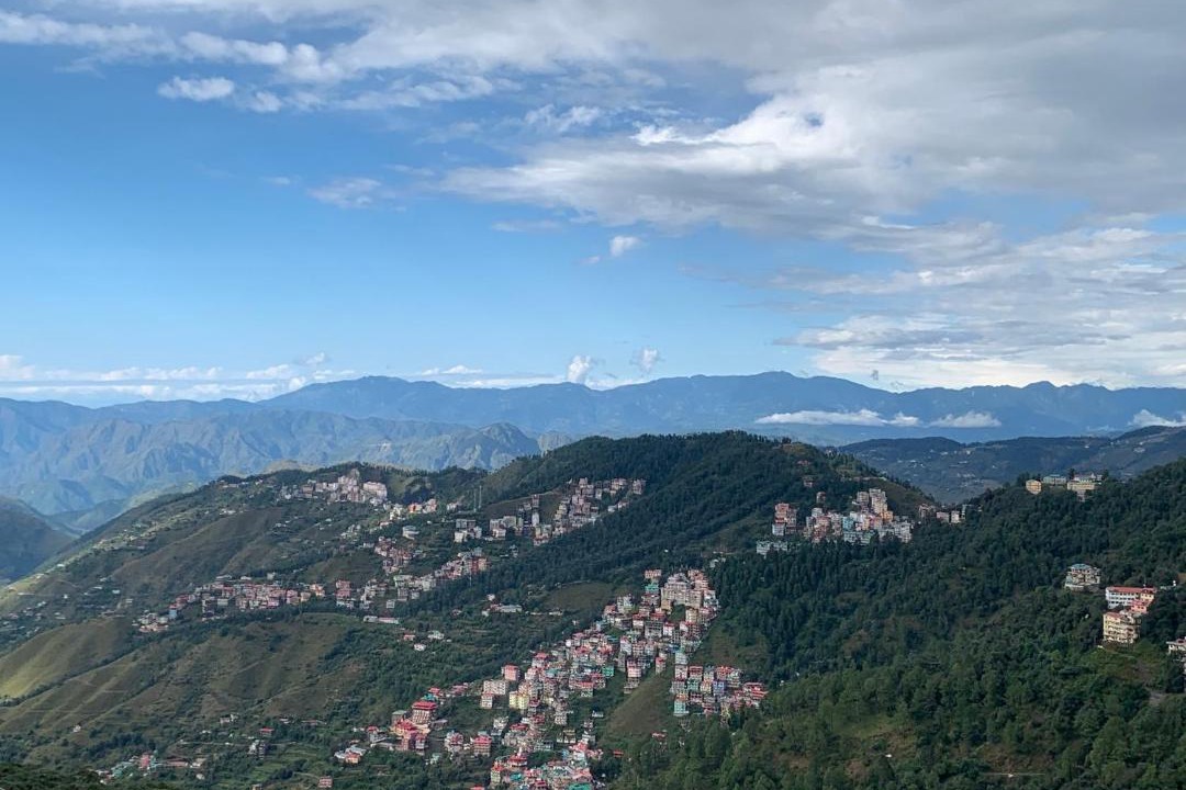 Photo of Others in Shimla