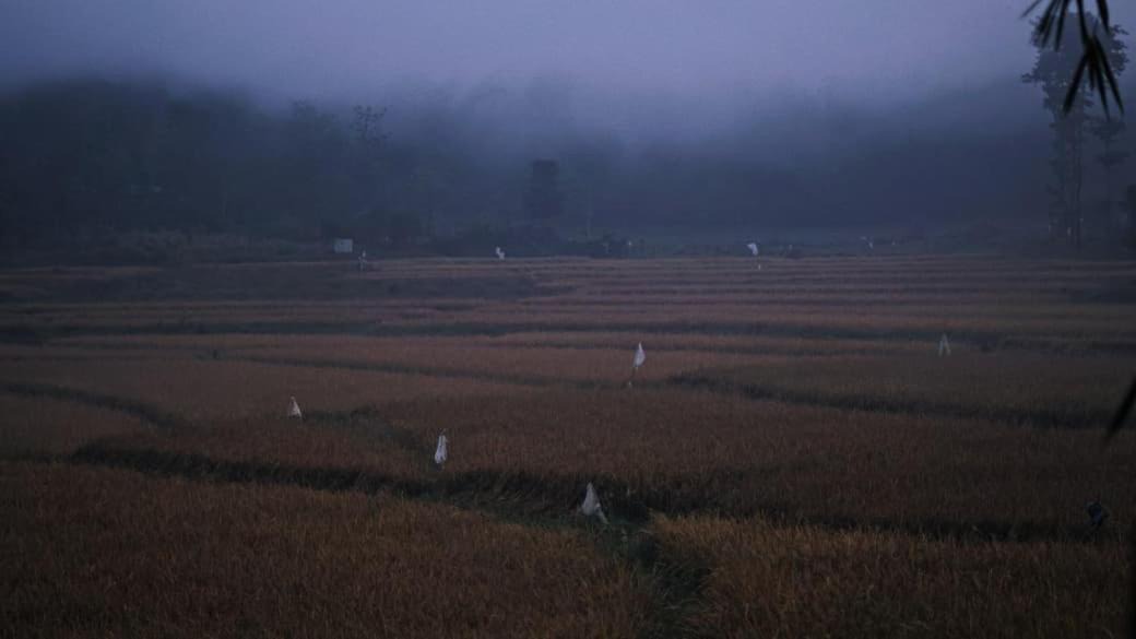Photo of Others in Kaimane