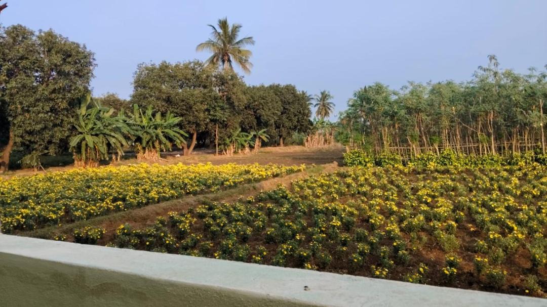 Photo of Others in Tiruvannamalai