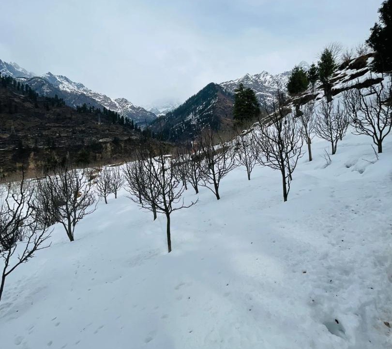 Photo of Others in Kullu