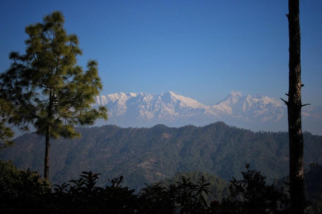 Photo of Others in Almora