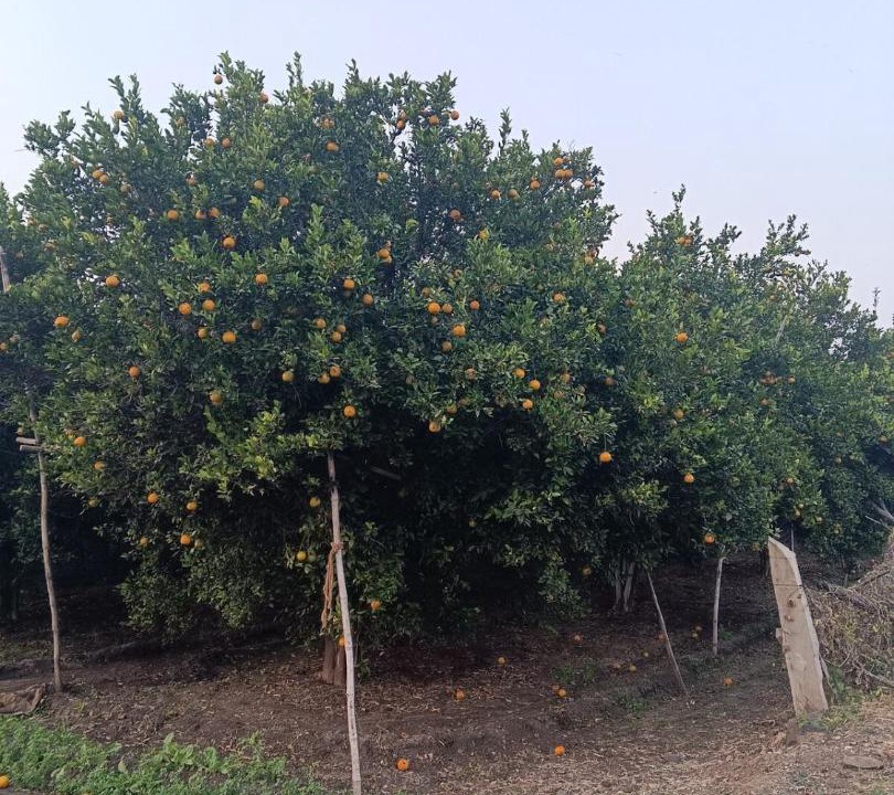 Photo of Outdoor in Bhanpura